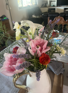 Week 4: March 26, 2025