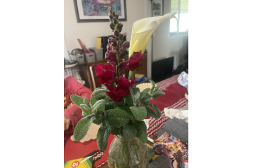 Week 1: March 2, 2025