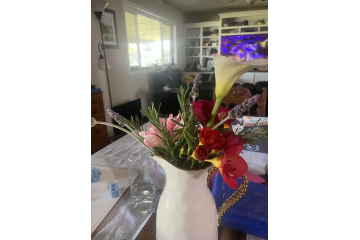 Week 3: March 19, 2025